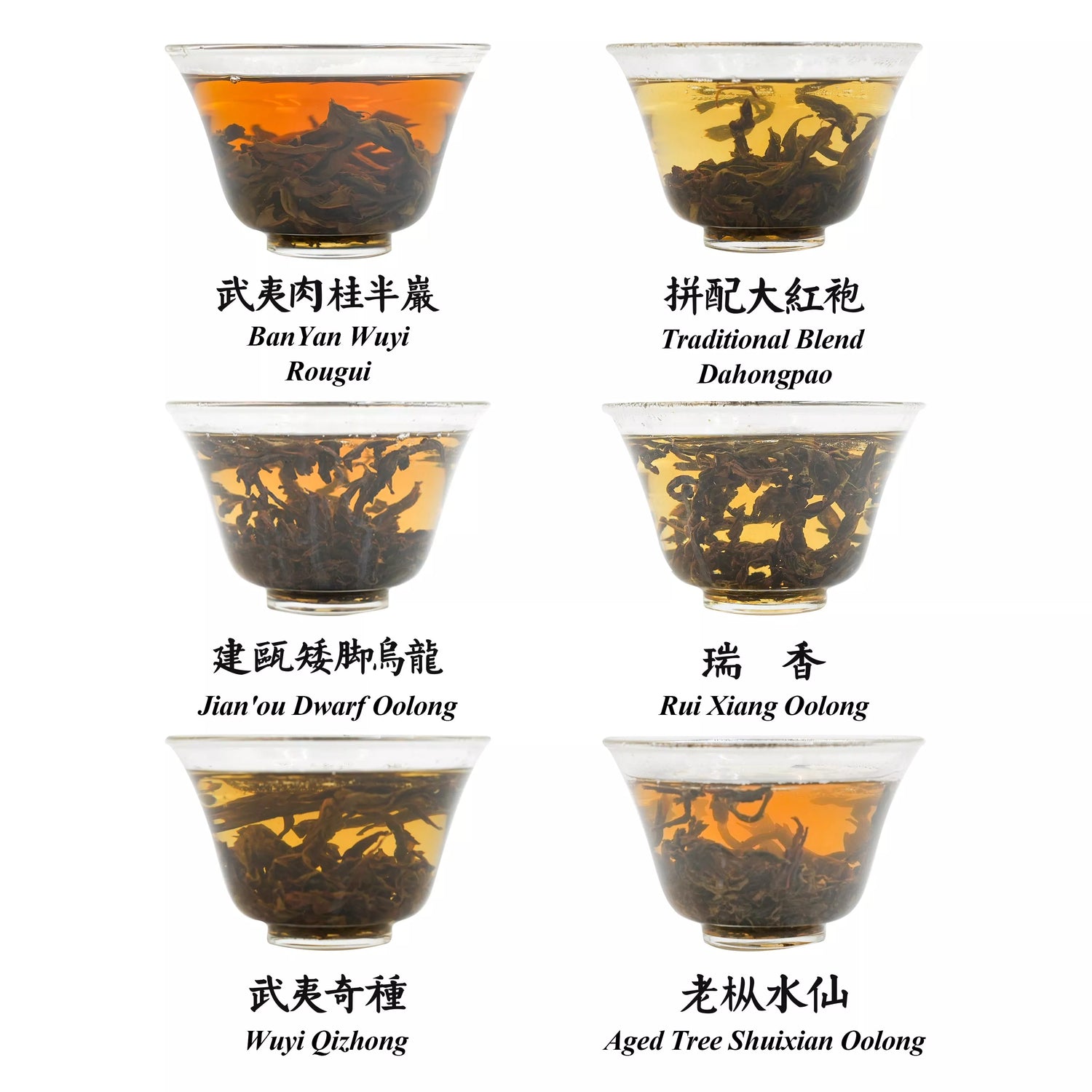 iTeaworld-Minbei Oolong Tea-Loose Leaf-6 Tea Brews-Mellow and Full-bodied