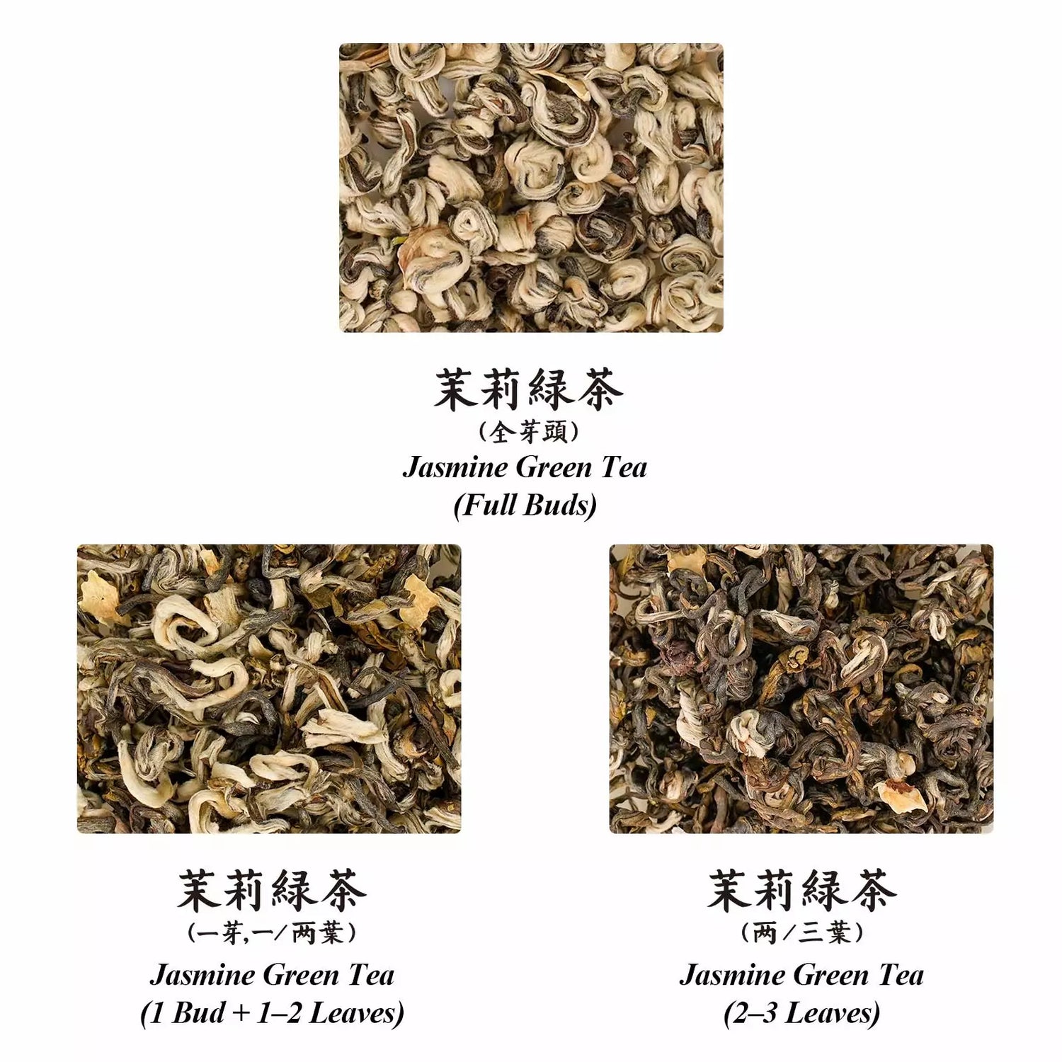 Jasmine Tea Discovery Set: Leaf Grade