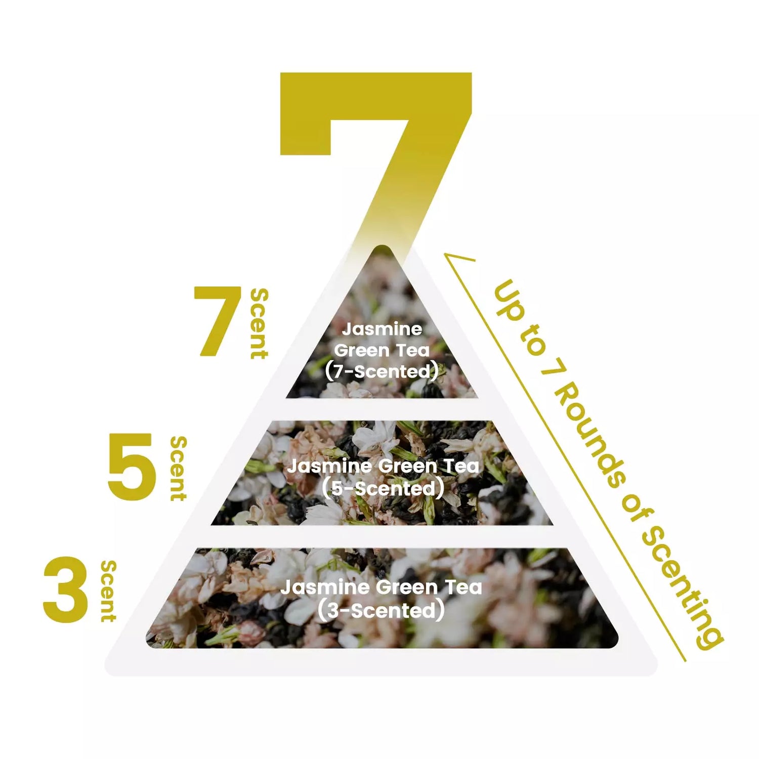 Jasmine Tea Discovery Set: Scenting