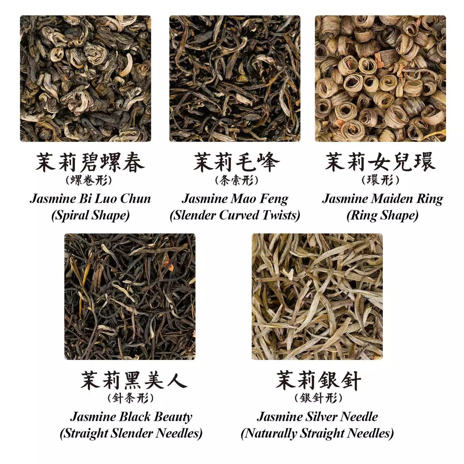 Jasmine Tea Discovery Set: Shape
