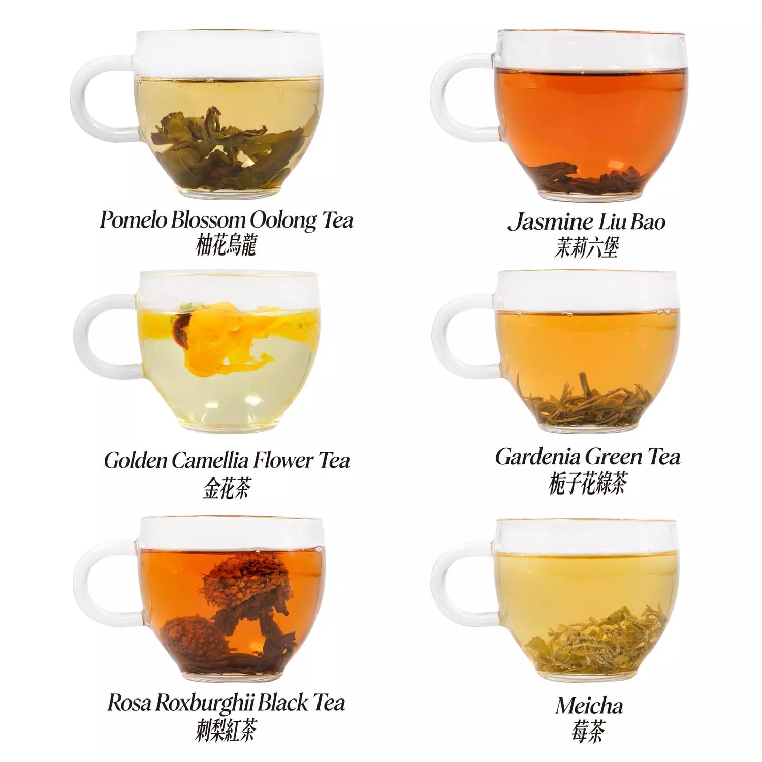 Tea Club Subscription - Seasonal Wellness Box