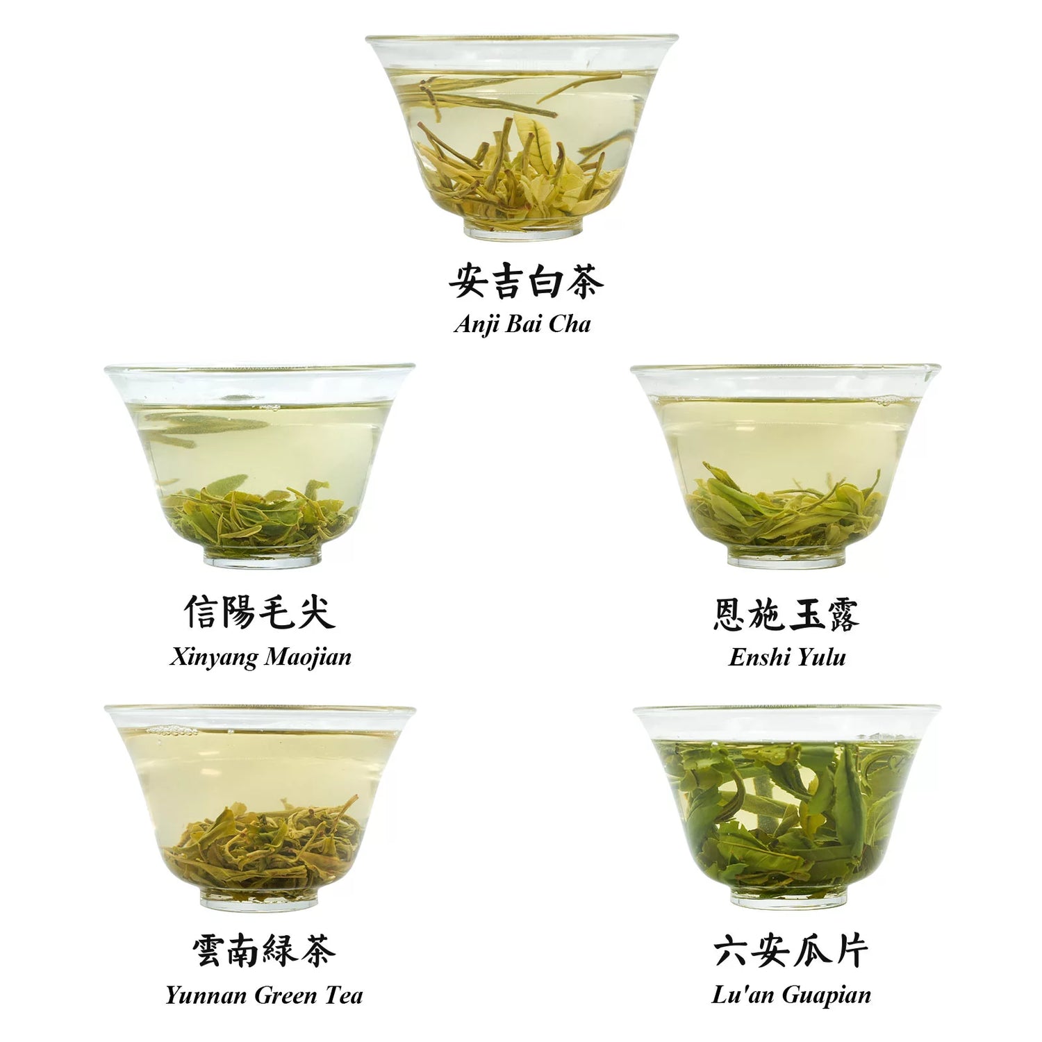Chinese Green Tea Flavor Collection 100g