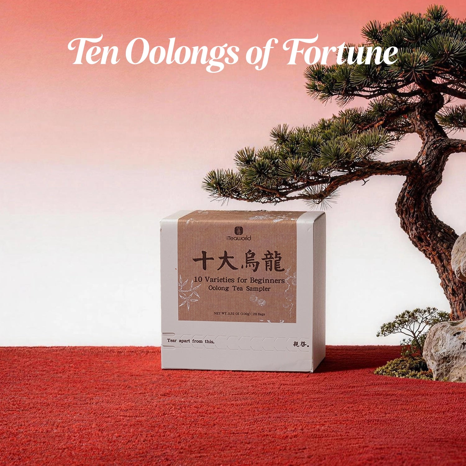 Oolong Teas Collection – Top 10 Classic for Beginners 100g (20 bags)