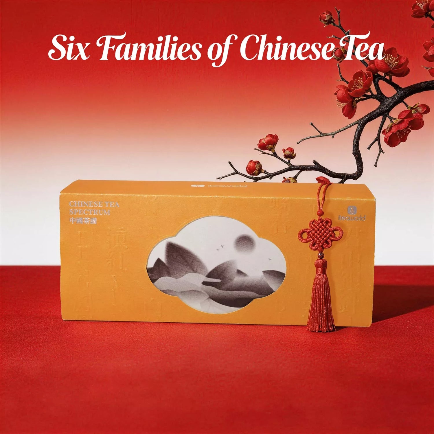 The Six Famous Chinese Teas – Green, Puerh, Oolong & More 100g