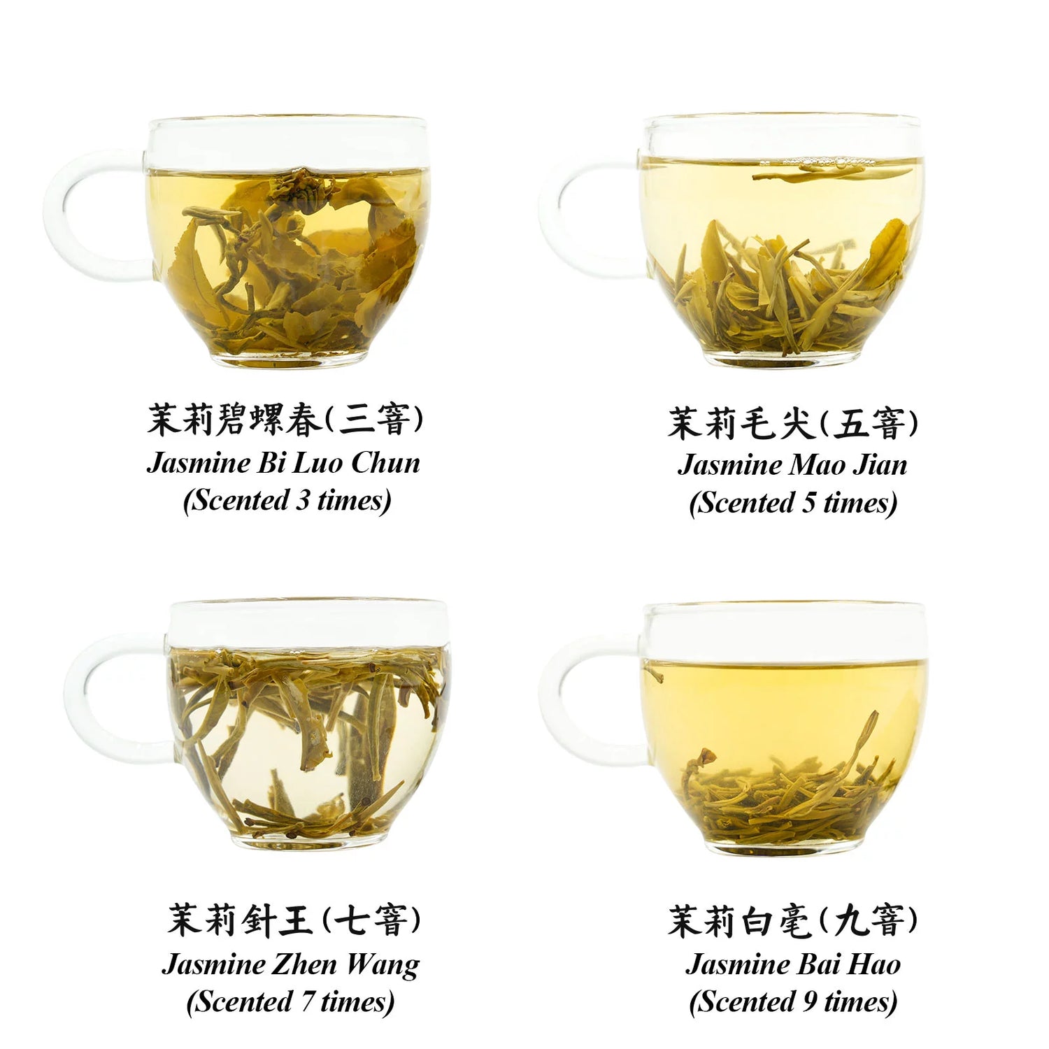 Jasmine Green Tea Scenting Collection 100g