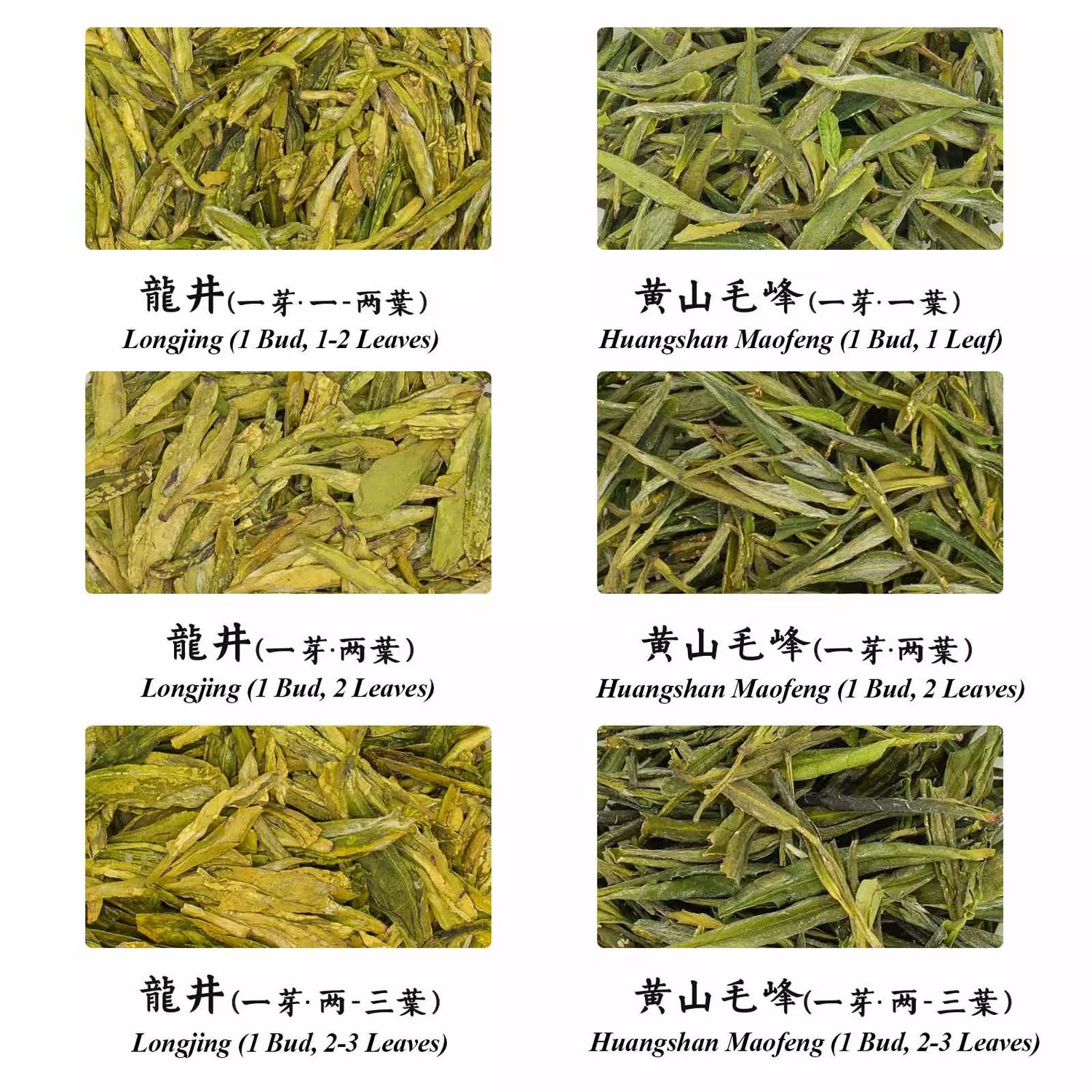 Longjing & Huangshan Maofeng Grade Tasting Set 87g