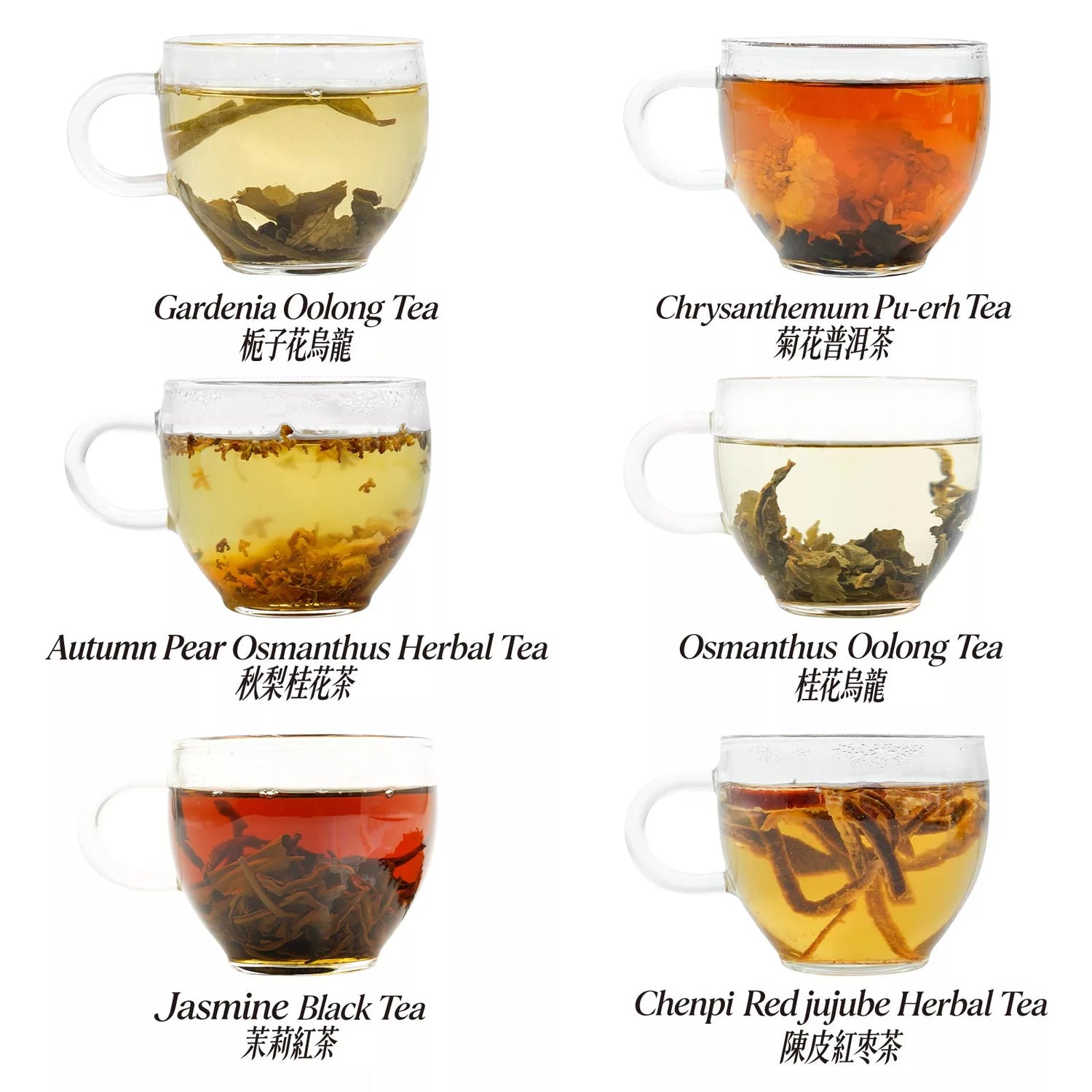 Tea Club Subscription - Seasonal Wellness Box