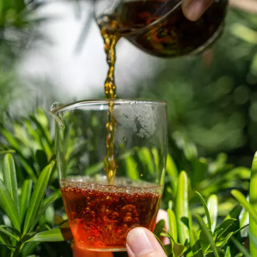 Yunnan Black Tea Golden Buds