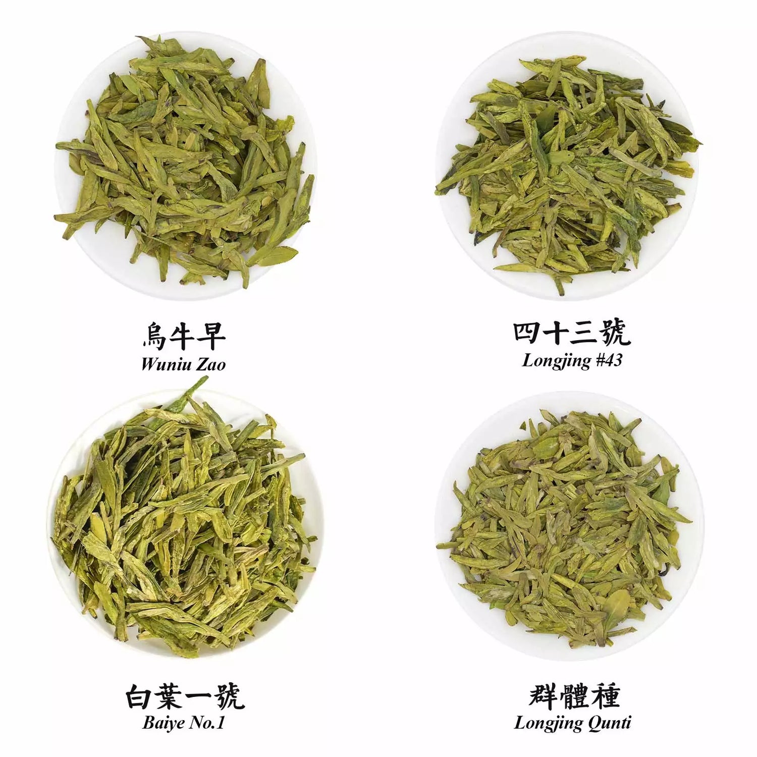 Longjing Green Tea Cultivar Comparison Set 60g