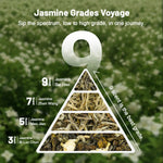 jasmine tea grade