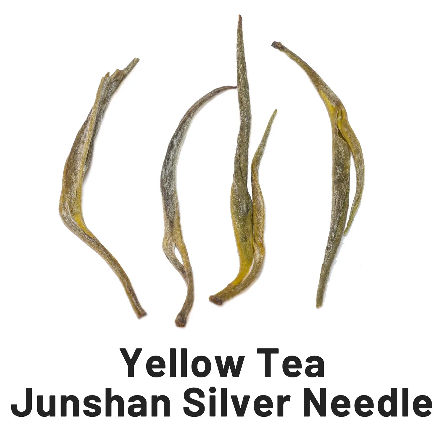 yellow tea junshan silver needle