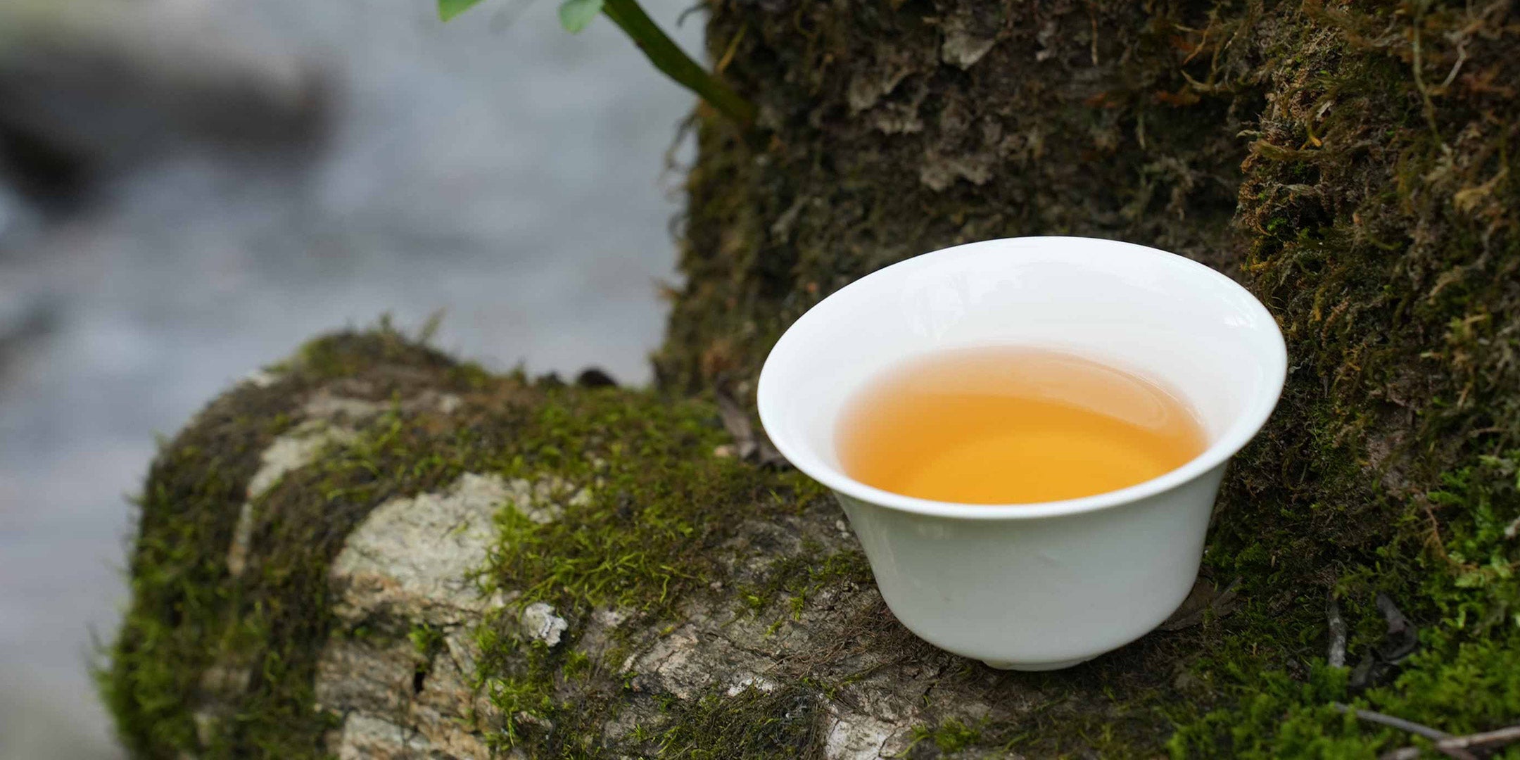 loose-leaf-tea-iteaworld-chinese-tea