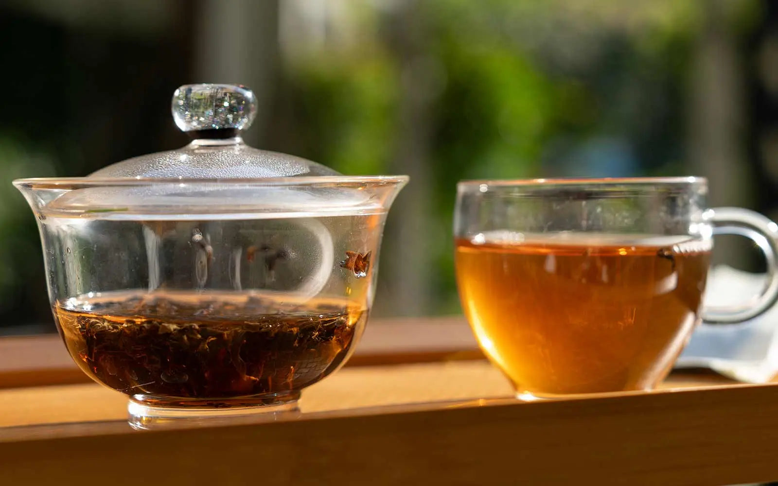 loose leaf tea for beginners