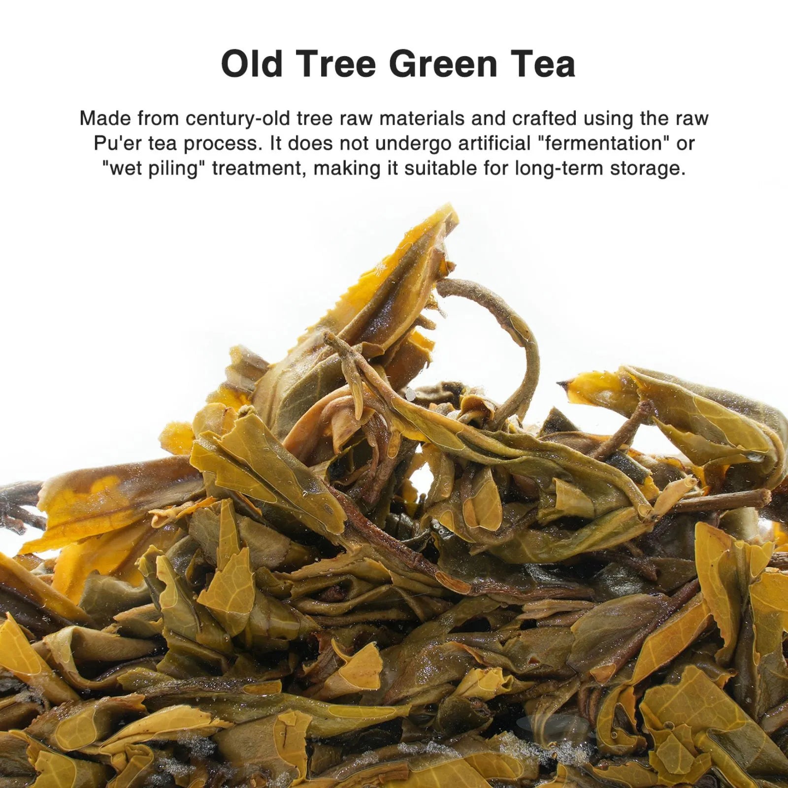 Premium Mellow, Sweet Old Tree Chinese Green Tea (one bud with two to three leaves) – Handpicked from 50-Year-Old Trees at 1600m, Mengku  Lincang Yunnan | April 2024 Harvest, 3.5oz (100g) - High Value Choice