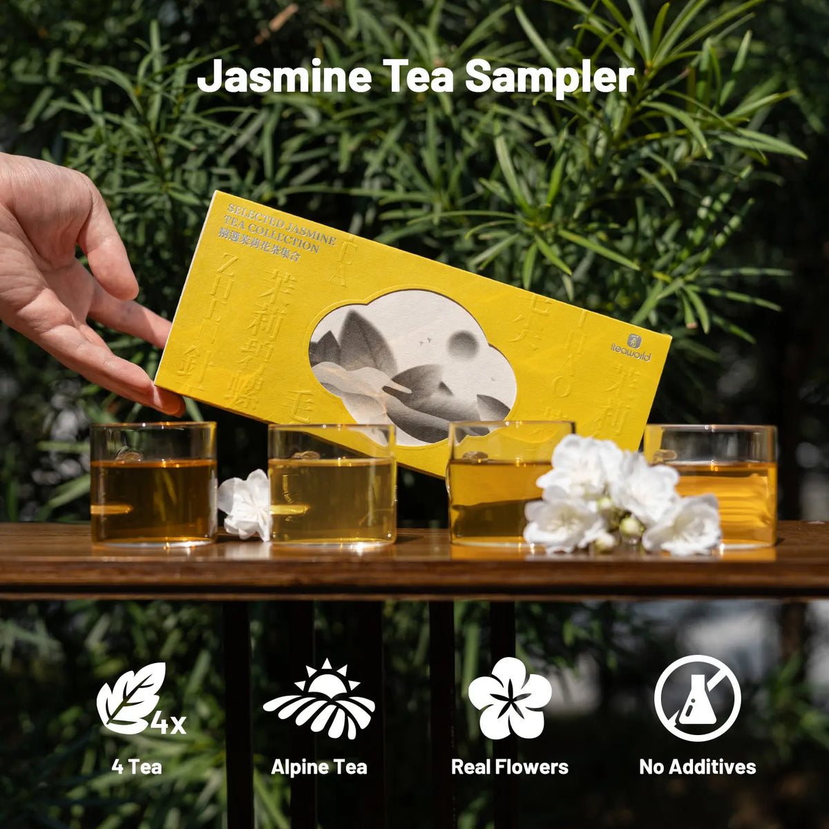 Nazmin Tea Chinese Jasmine Tea Sampler | 4 Jasmine Loose Leaf Tea - iTeaworld