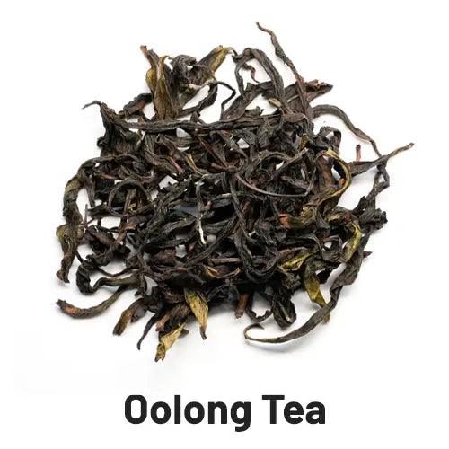 oolong tea loose leaf tea