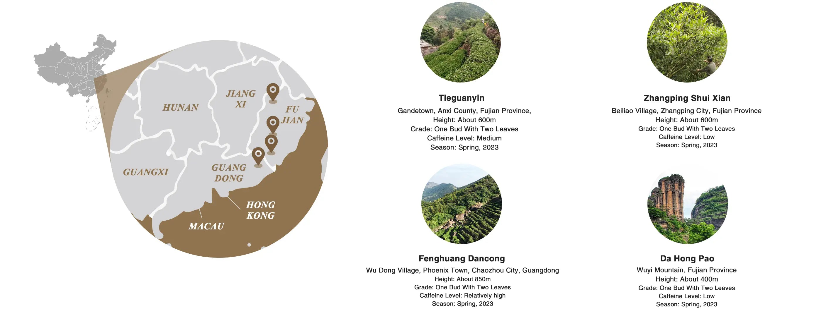 oolong-tea-sampler-origin-information-and-altitude-iteaworld