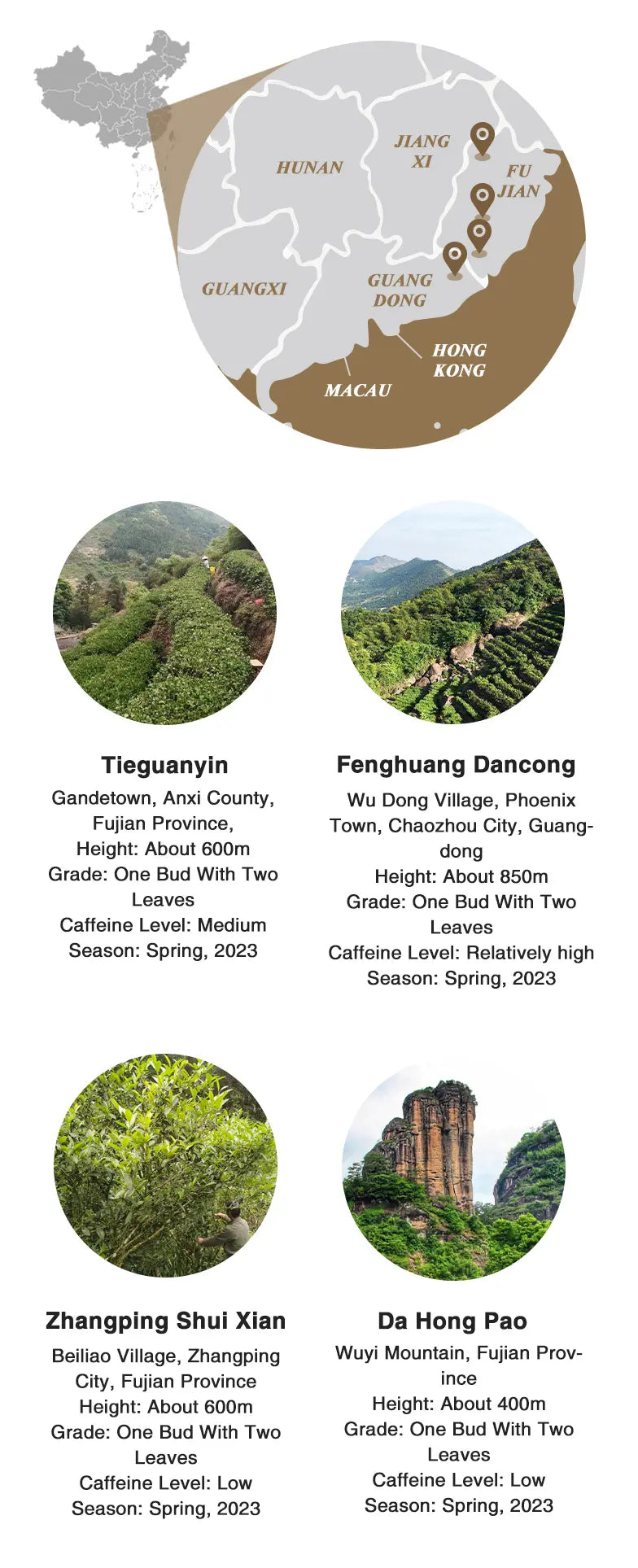 oolong-tea-sampler-origin-information-and-altitude