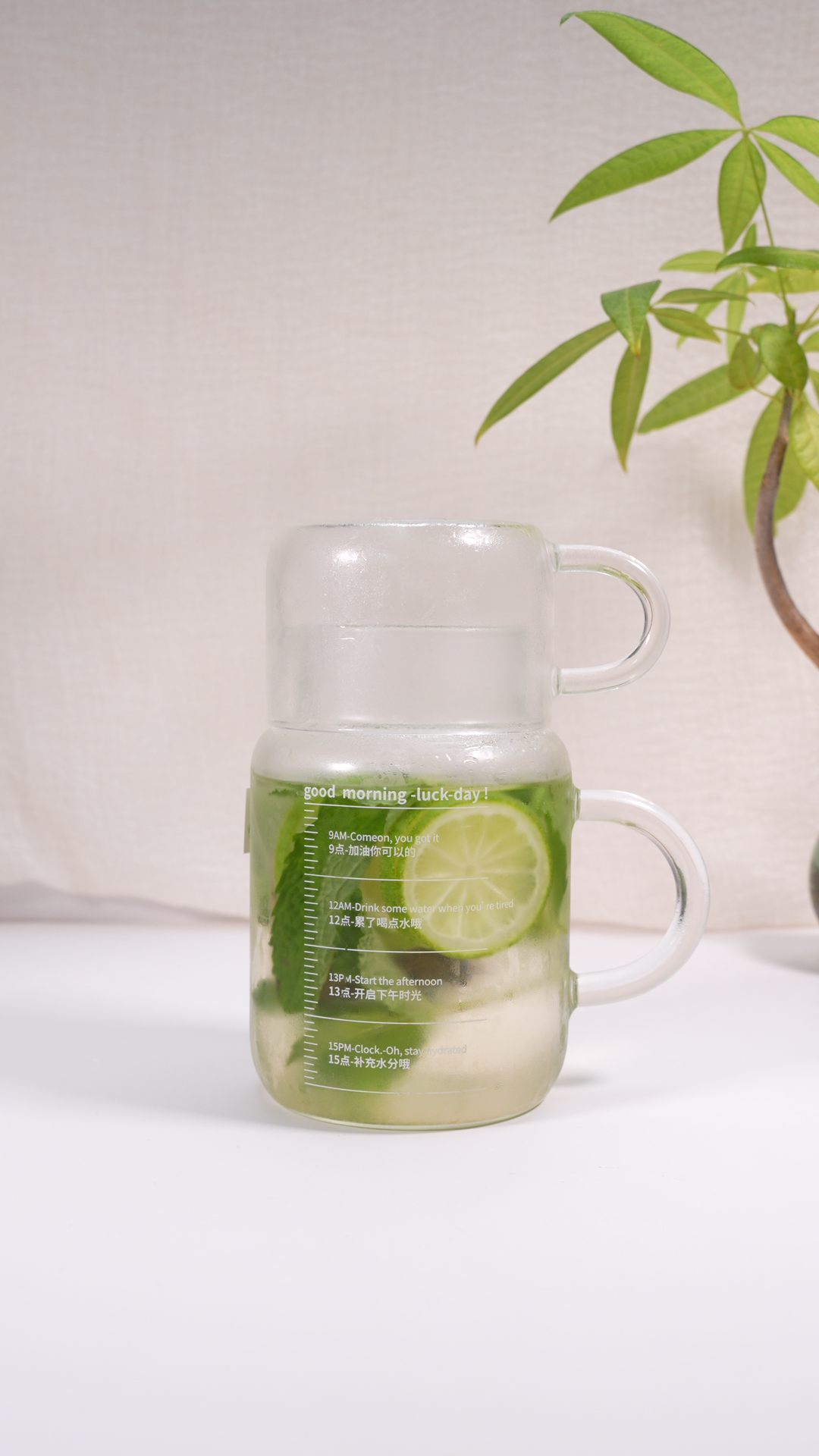 Office-Friendly Glass Teapot – 800ml