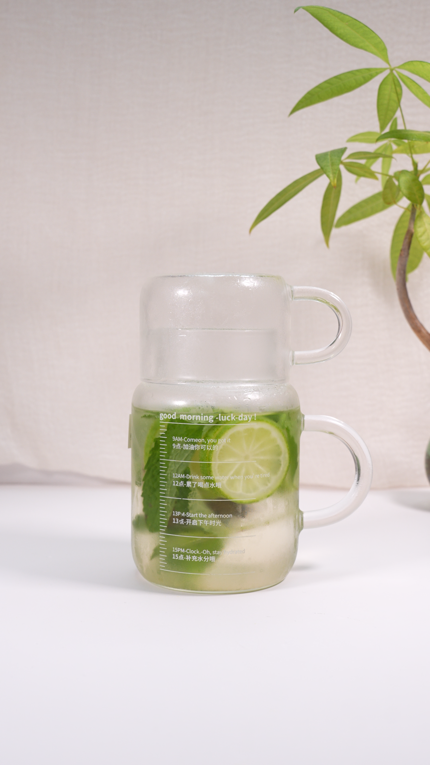 Office-Friendly Glass Teapot – 800ml