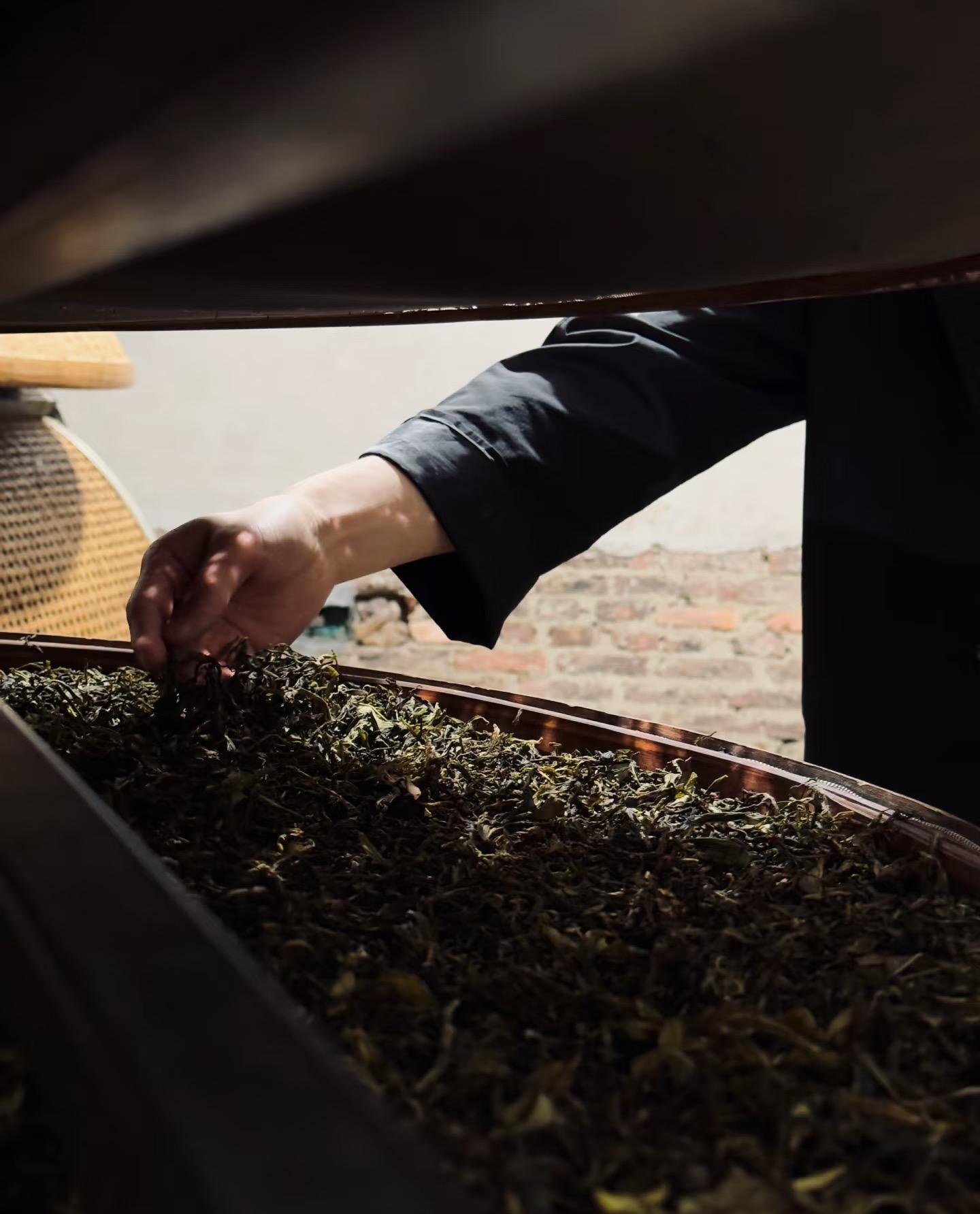 NATURE チェビン CHAEBIN ペンミ 国別 7ヵ国 セット トレカ Award-Winning Mi Lan Xiang Dancong Oolong Tea – 2025 Global Tea