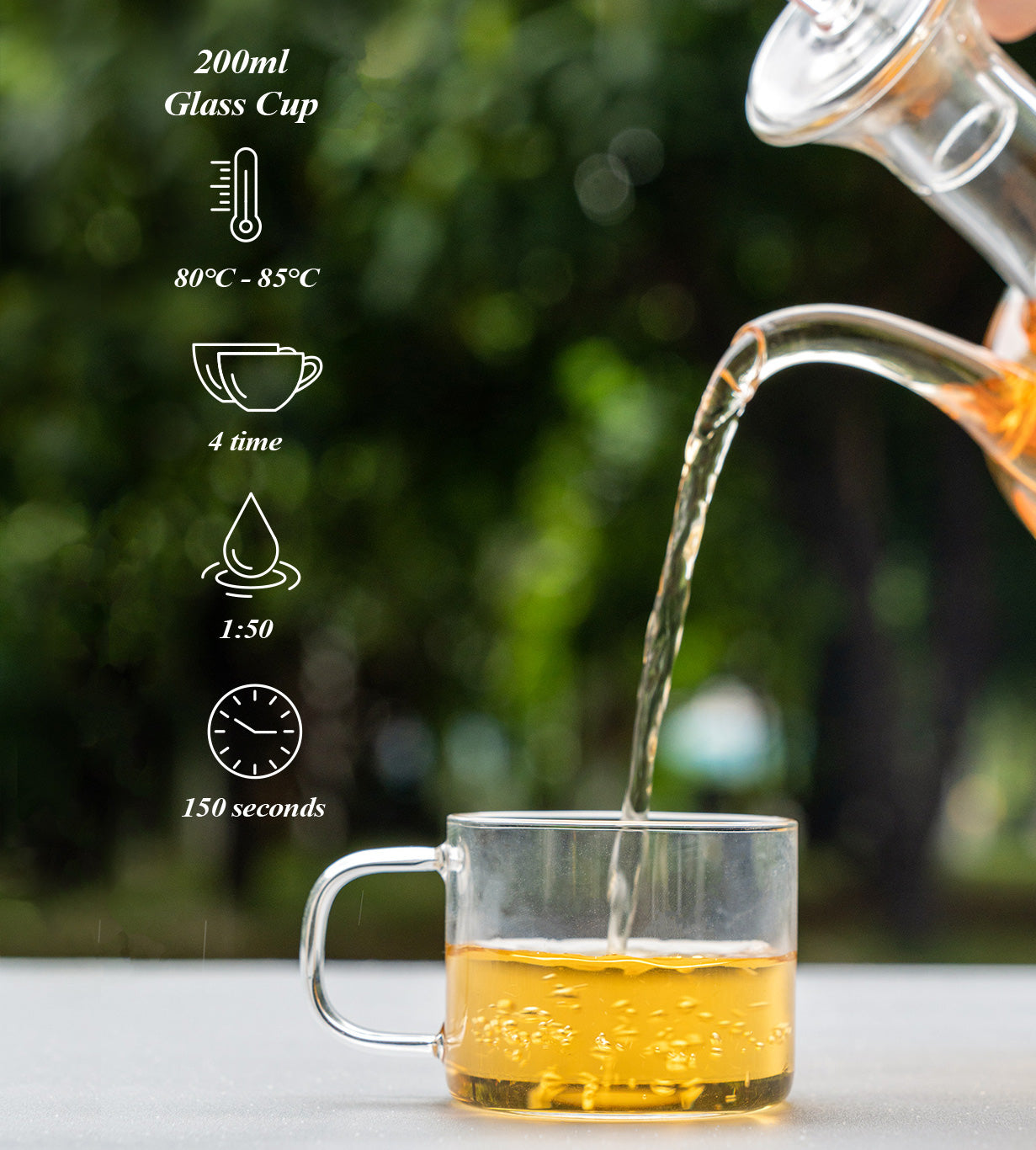 tea-brew-method-glass-pot-iteaworld