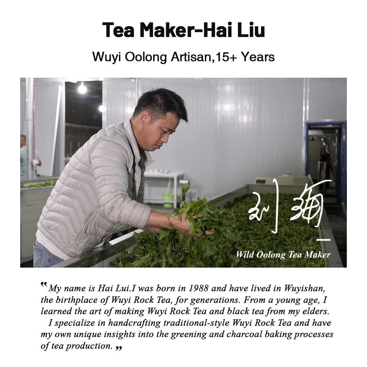 Chinese Wild Oolong Tea