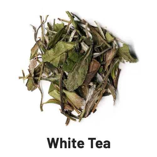 white tea loose leaf tea