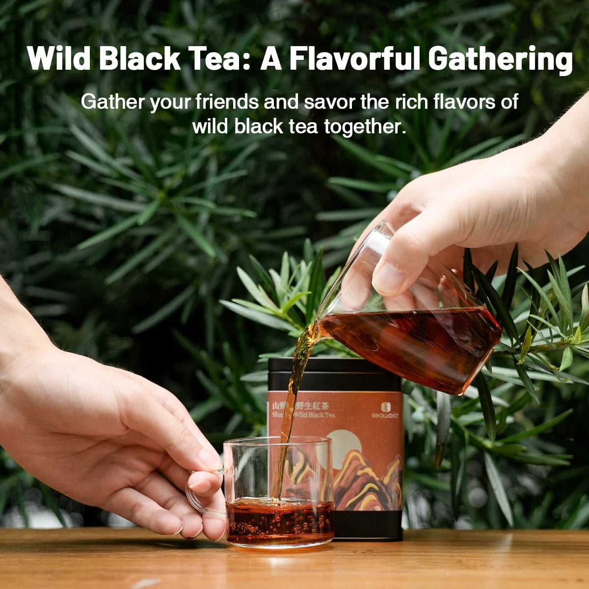 Chinese Wild Black Tea