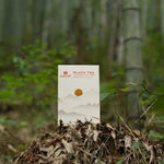 Yingde black tea stands in the bamboo forest